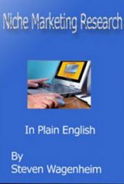 Niche Marketing Research in Plain English
