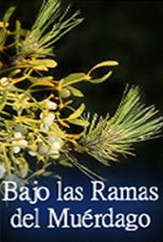 Bajo las Ramas del Mu&eacute;rdago