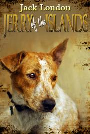 Jerry of the Islands