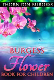 Burgess flower book for children (1923)