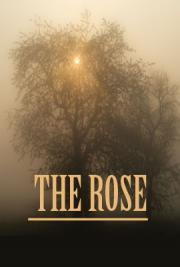 The Rose