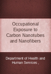 Current Intelligence Bulletin 65: Occupational Exposure to Carbon Nanotubes and Nanofibers