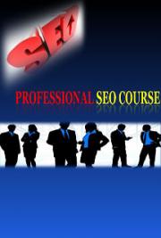 Professional SEO Course