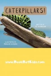 Caterpillars!