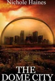 The Dome City