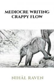 Mediocre Writing Crappy Flow