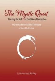 The Mystic Quest &ndash; Piercing the Veil of Conditioned Perception