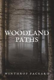 Woodland Paths