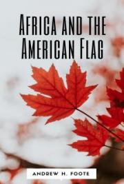 Africa and the American Flag