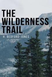 The Wilderness Trail