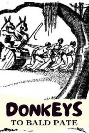 Donkeys to Bald Pate