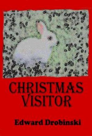 Christmas Visitor