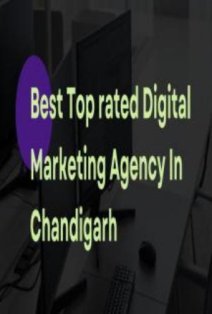 Best Top Rated Digital Marketing Agency- PixelZen Digital