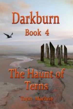 Darkburn Book 4: The Haunt of Ternss