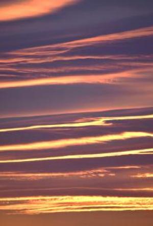 Does our mind survive us?