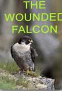 The Wounded Falcon