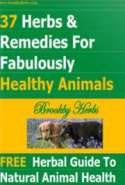 37 Herbs & Remedies for Fabulously Healthy Animals