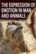 The Expression of Emotion in Man and Animals