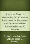 Advanced Electron Microscopy Techniques on Semiconductor Nanowires: from Atomic Density of States Analysis to 3D Reconst