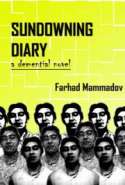 Sundowning Diary- Part 2