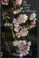 The Secret of The Cherry Blossoms
