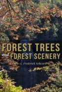 Forest Trees and Forest Scenery