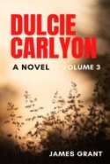 Dulcie Carlyon: A novel. Volume 3