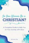 So You Wanna Be a Christian?