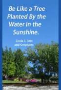 Be Like a Tree Planted by the Water In the Sunshine