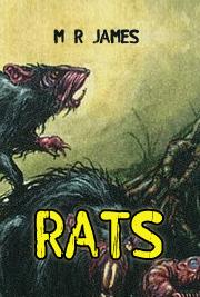 Rats