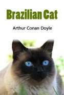 Brazilian Cat