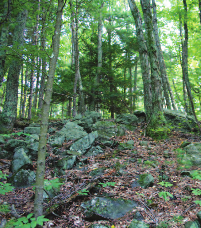 			</div>
		</div>
		<div class=