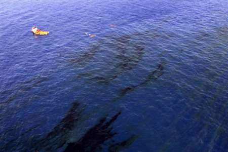 Figure (Picture 3.jpg)