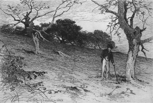 Figure (graphics10.jpg)