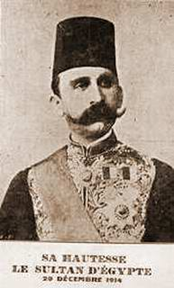 Figure (husseinkamel.png)