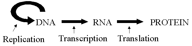 Figure (graphics2.png)