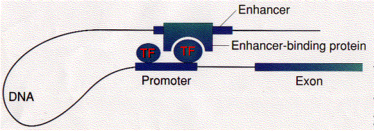 Figure (graphics3.png)