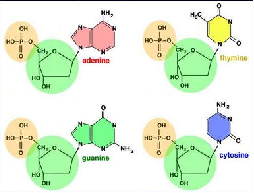 Figure (graphics5.jpg)