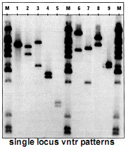 Figure (graphics8.png)