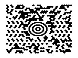 Description: C:\Users\mani\Desktop\2d Images\maxicode.png