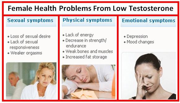 female testosterone.jpg